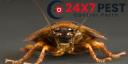 247 Cockroach Control Perth logo